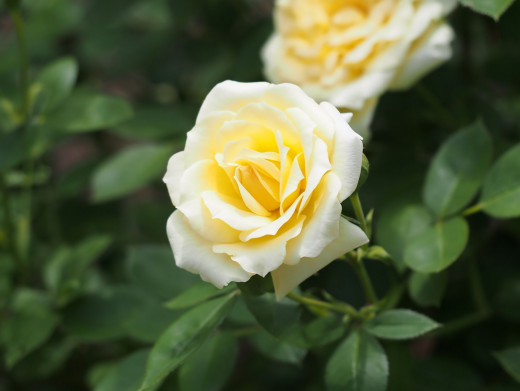743674 (a): :2560x1922